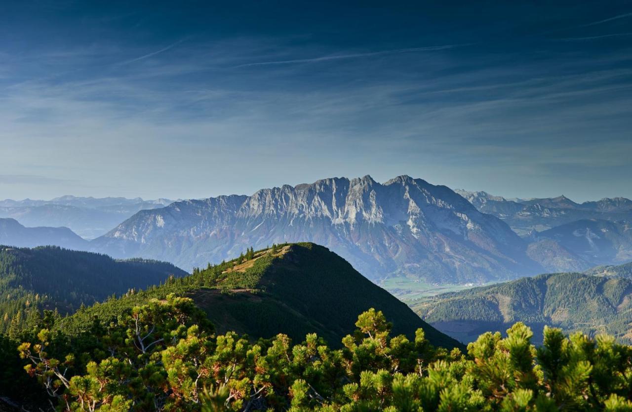 Chalet - Apartment - Mit Liebe Dekoriert Oblarn Exteriör bild